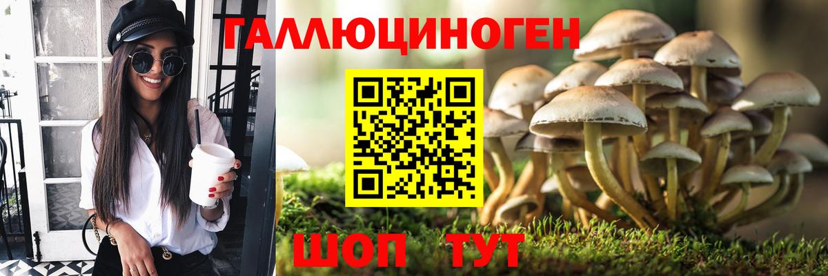 Псилоцибиновые грибы прущие грибы  Вход с VPN  Семилуки  Галлюциногенные грибы Cubensis 